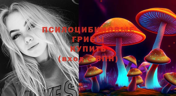 МДПВ Алексин