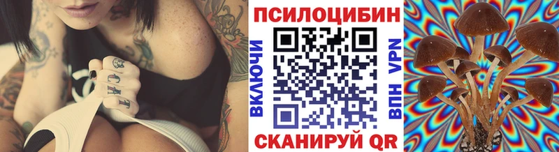 где найти наркотики  Котельники  Псилоцибиновые грибы Psilocybe 